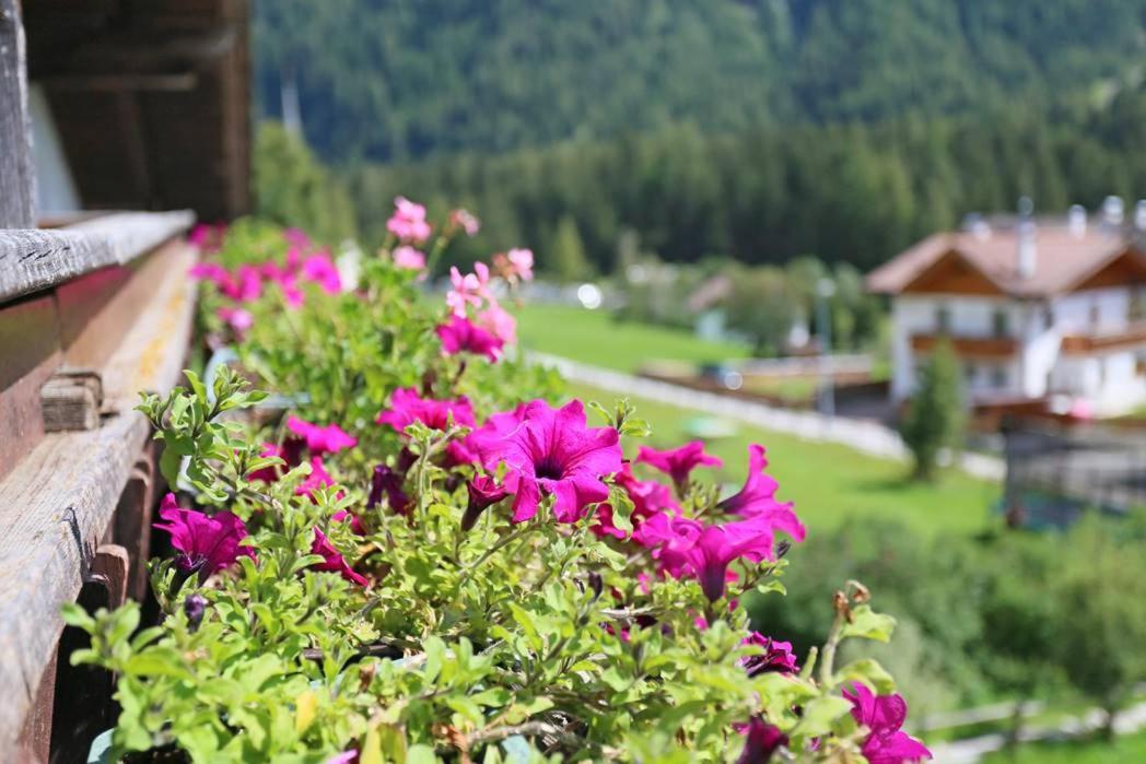 Gasthof Albergo Neuwirt วัล ดิ วิซเซ ภายนอก รูปภาพ